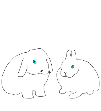 Blue eyed bunny